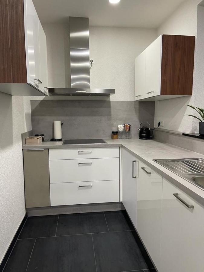 2 Zimmer Wohnung Zur Taegliche Miete Hechingen Εξωτερικό φωτογραφία